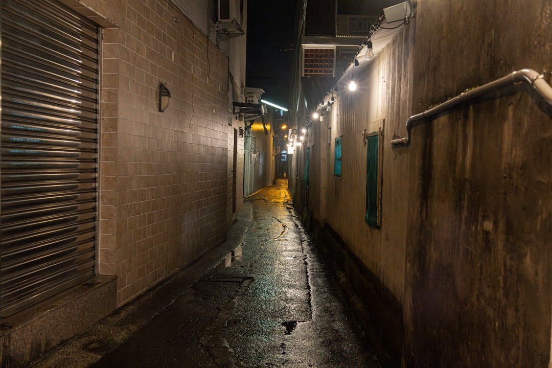 shadowy alley at night