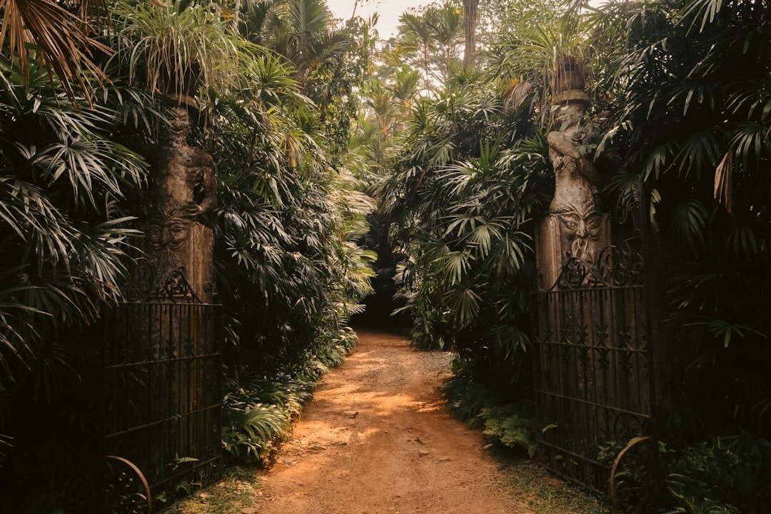 exotic location mystery